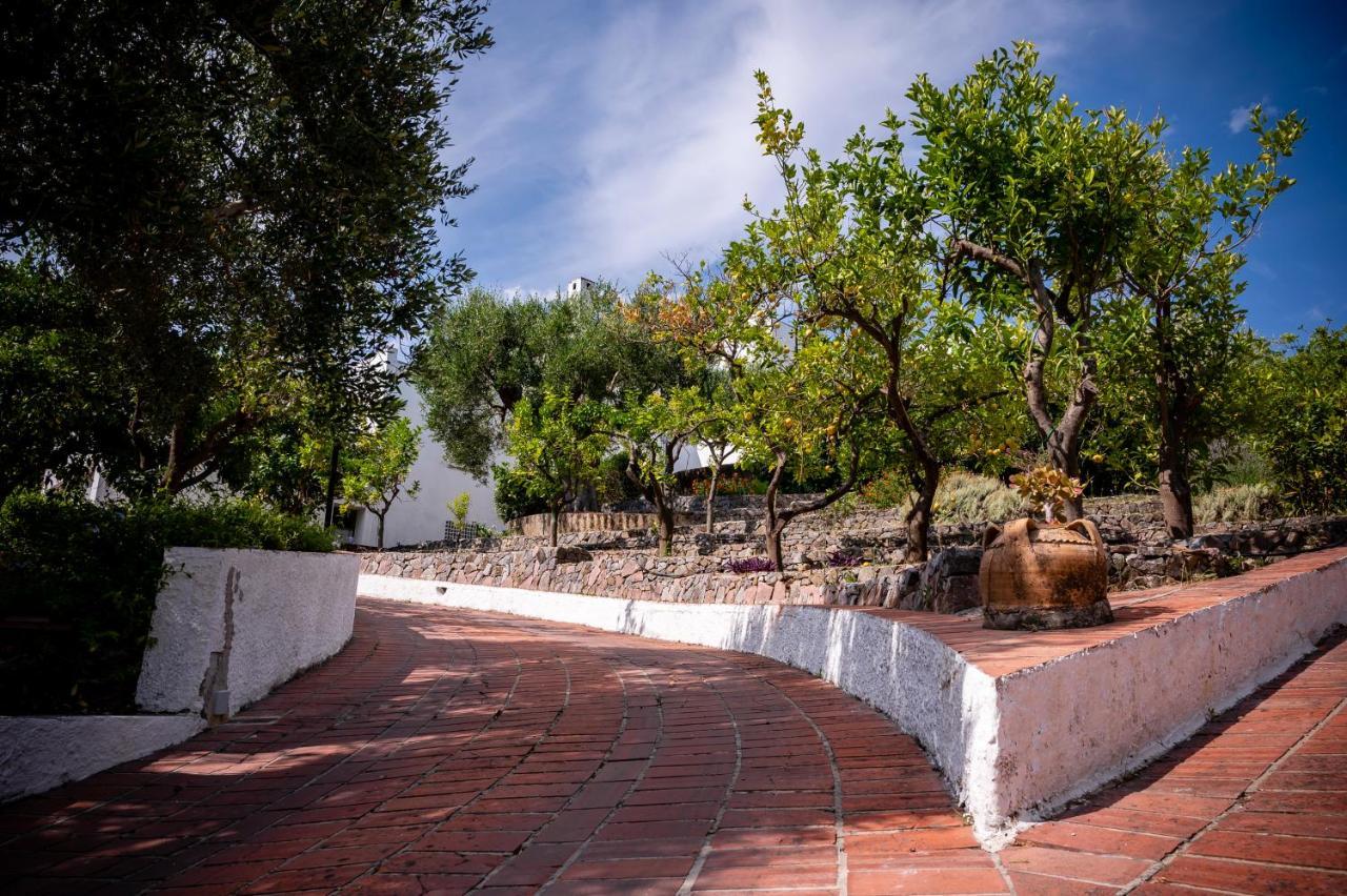 B&B Casabianca Palinuro Bagian luar foto