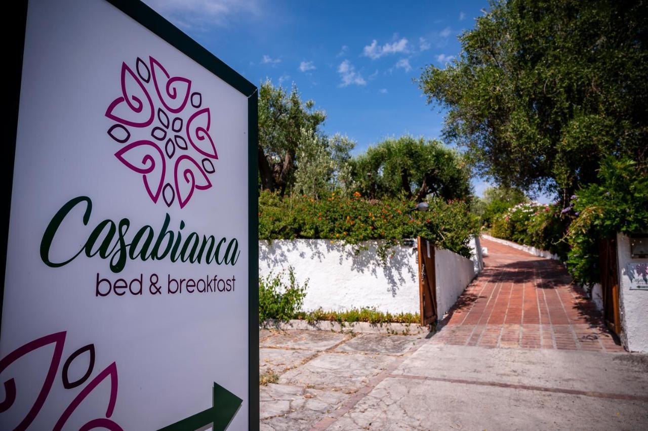 B&B Casabianca Palinuro Bagian luar foto