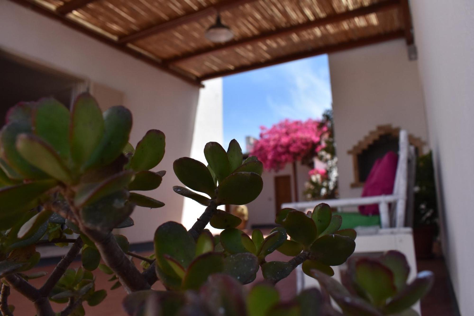B&B Casabianca Palinuro Bagian luar foto