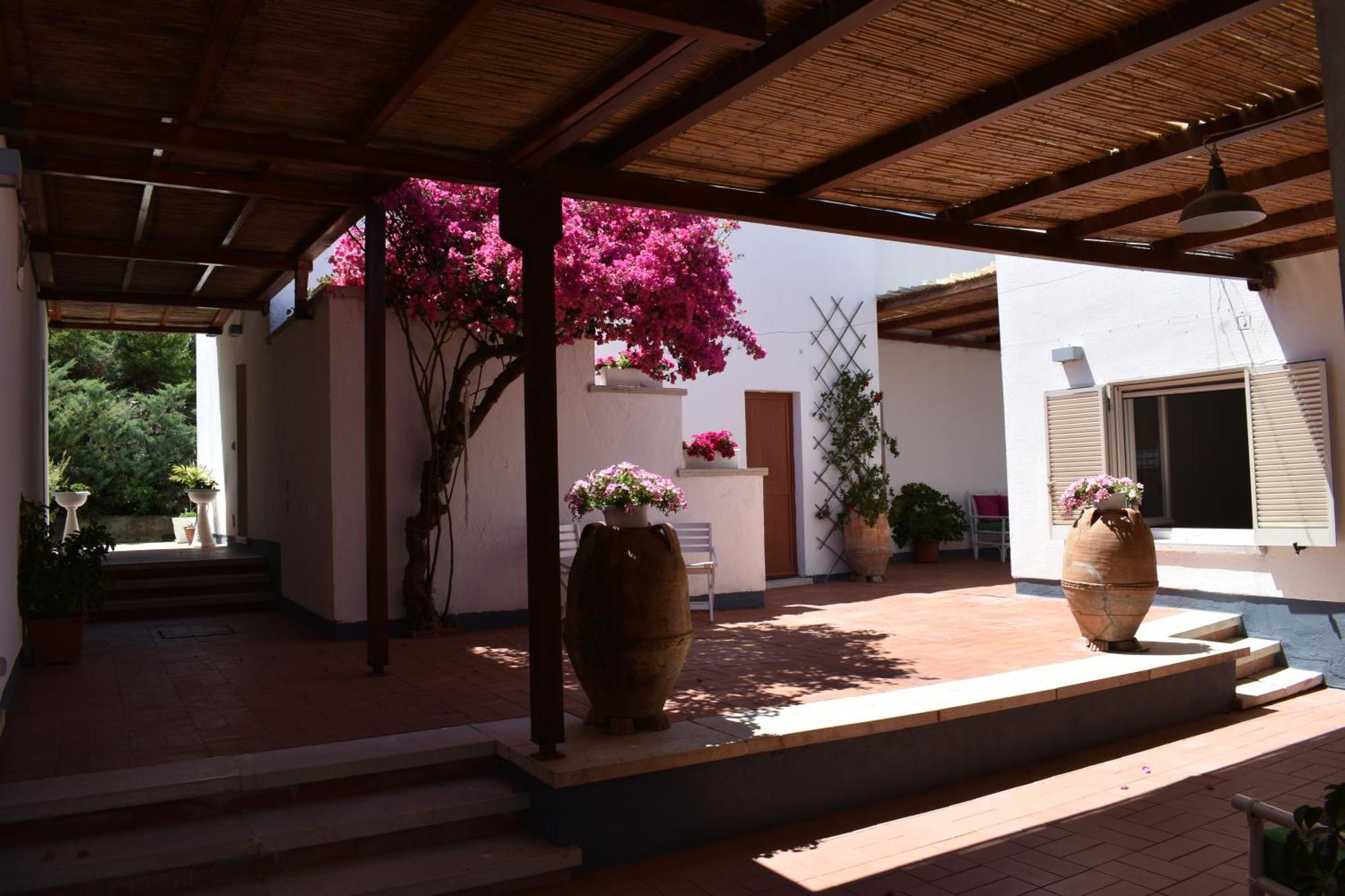 B&B Casabianca Palinuro Bagian luar foto