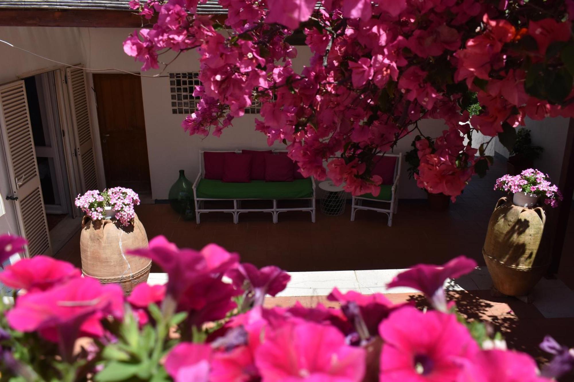B&B Casabianca Palinuro Bagian luar foto