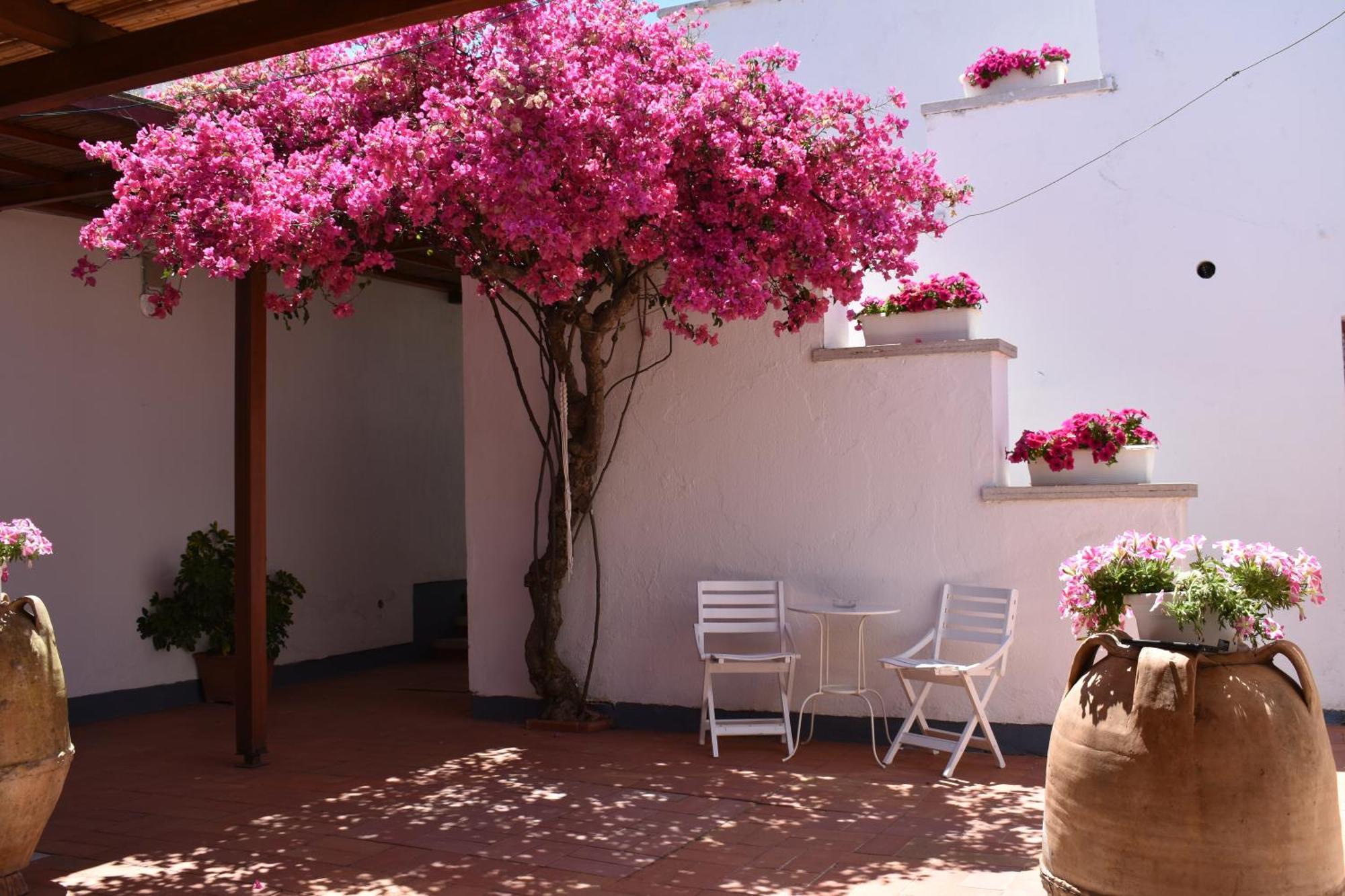 B&B Casabianca Palinuro Bagian luar foto